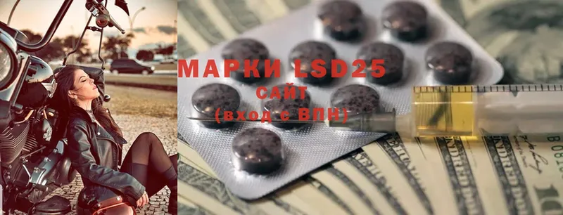 darknet Telegram  Камышин  ЛСД экстази ecstasy 